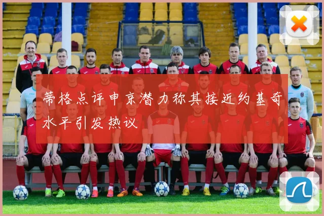 蒂格点评申京潜力称其接近约基奇水平引发热议