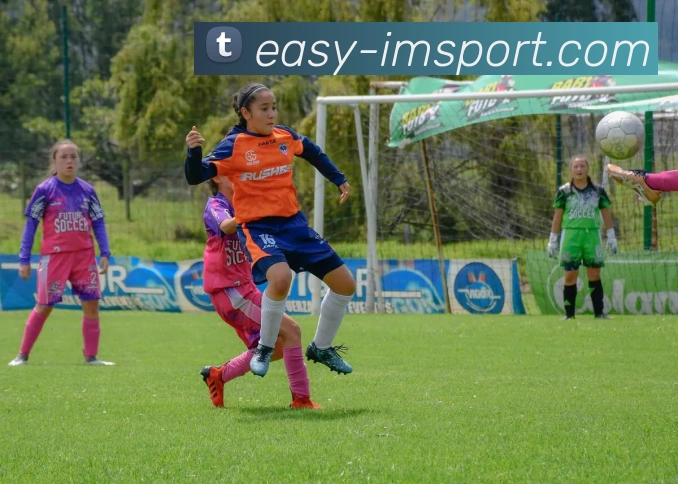 IM体育APP 封面图