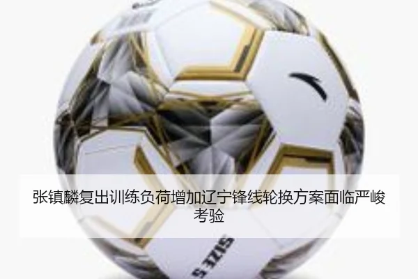 张镇麟复出训练负荷增加辽宁锋线轮换方案面临严峻考验 | IMSPORTS